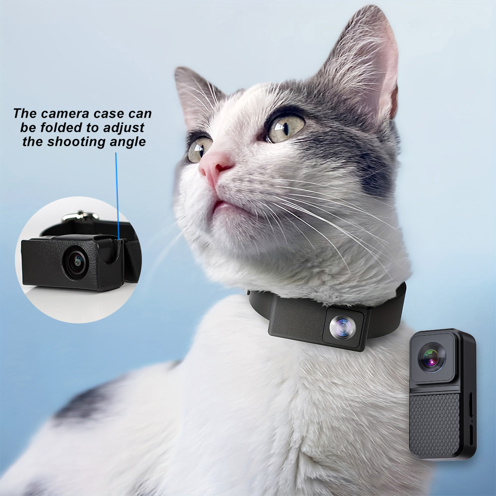 HD 1080P Pet Cameras Outdoors  - Home Cinema Hd 评论和价格