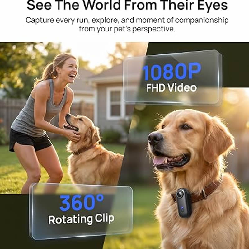 Pet Cameras 1080P HD Dog Cat P - Home Cinema Hd 评论和价格