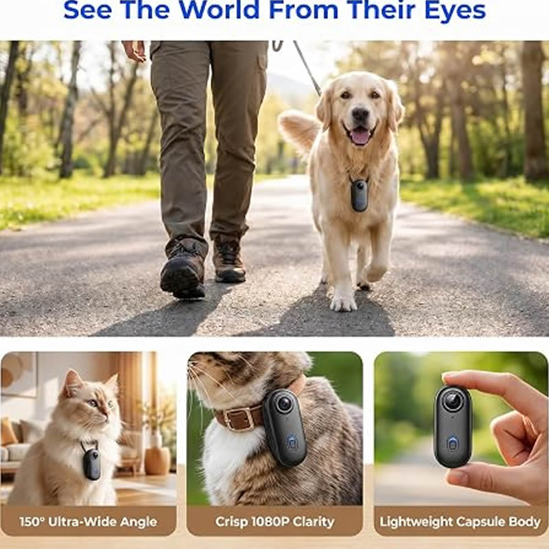 Pet Cameras 1080P HD Dog Cat P - Home Cinema Hd 评论和价格