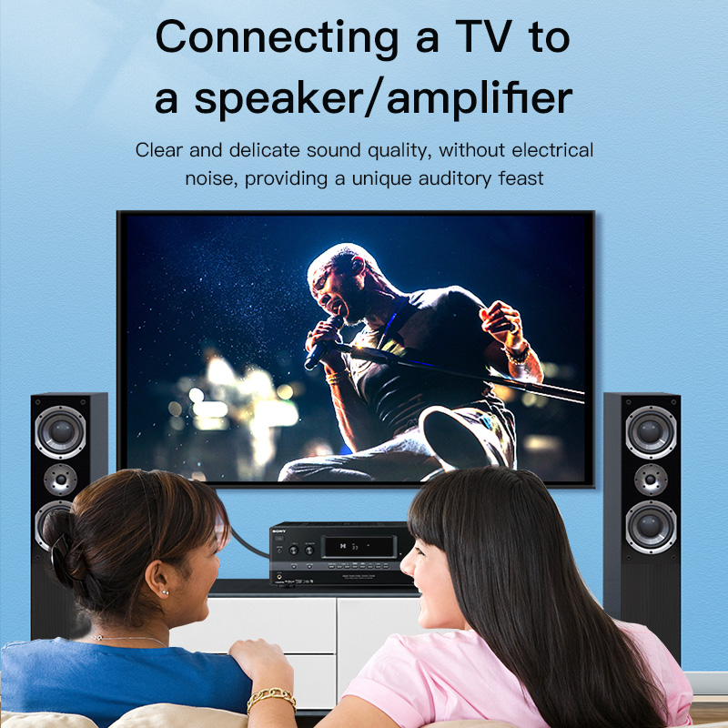 CHOSEAL RCA Cable Digital Coax - Home Cinema Choice 评论和价格